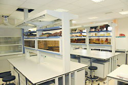 plehanova-4.jpg plehanova-4.jpg